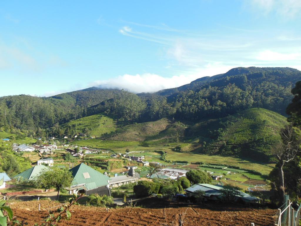 Serene Villa 努沃勒埃利耶 外观 照片