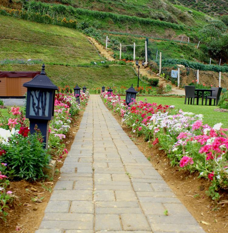Serene Villa 努沃勒埃利耶 外观 照片